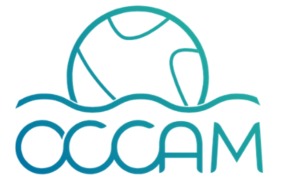 Logo 2
